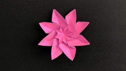 折花的方法视频