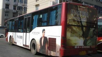 租车广告视频,尽享驾驶自由之旅