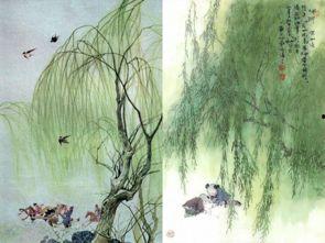 咏柳古诗视频播放,春风拂柳舞翩跹，千年古韵映眼前