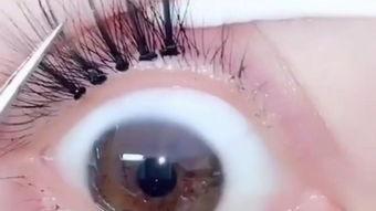 嫁接眼睫毛视频,跟随嫁接眼睫毛视频，轻松拥有浓密卷翘睫毛