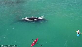 澳洲游视频,探索南半球的自然奇观与多元文化