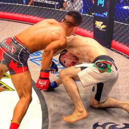 恩波格斗最新比赛视频,热血对决，精彩瞬间回顾