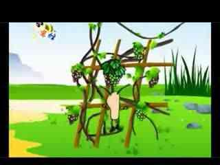 蜗牛和黄鹂鸟儿歌视频,欢快旋律中的自然之美