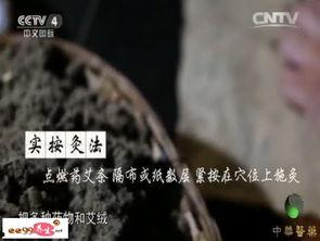 赵时碧雷火灸视频,揭秘古老灸法在现代的健康应用