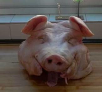 生猪头怎么处理视频,从屠宰到加工的全程揭秘