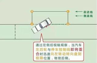 侧弧圈视频,视频教学中的运动美学与技巧揭秘